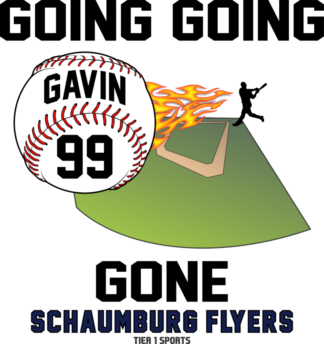 BB12 GOING GOING GONE