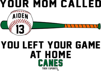 BB15 YOUR MOM CALLED YOU LEFT YOUR GAME AT HOME