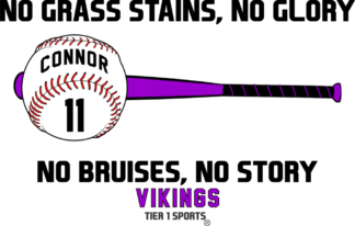 BB22 NO GRASS STAINS, NO GLORY, NO BRUISES, NO STORY