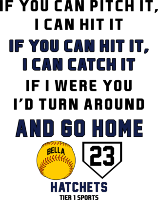 SB17 IF YOU CAN PITCH IT