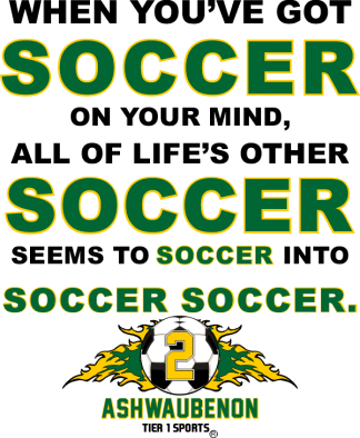 SOC41 WHEN YOU HAVE SOCCER ON YOUR MIND