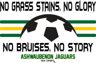 SOC43 NO GRASS STAINS, NO GLORY