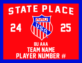 2025 AAU 8U AAA STATE INDIVIDUAL PLAYER BANNER 13X17