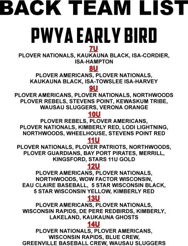 2025 PLOVER EARLY BIRD BASEBALL TOURNAMENT - Image 3