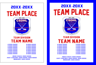 2026 CSDHL Team Banners-MINIMUM ORDER 8 BANNERS PER ORDER-ANY SIZE